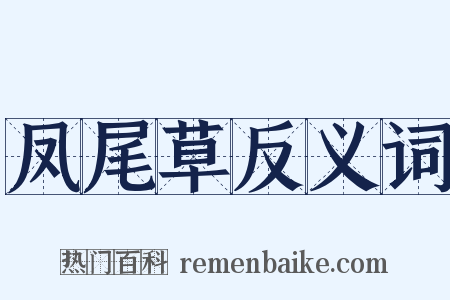 凤尾草反义词是什么意思的图片